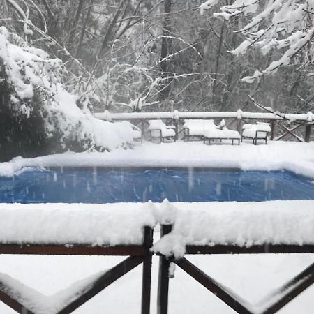 Refugio Del Arroyo Lejlighedshotel San Martín de los Andes Eksteriør billede